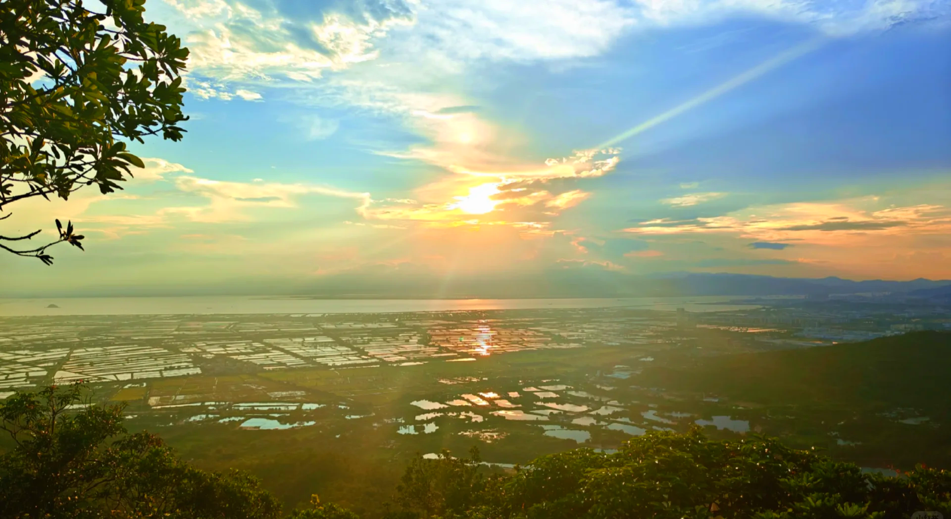 平沙天气预报
