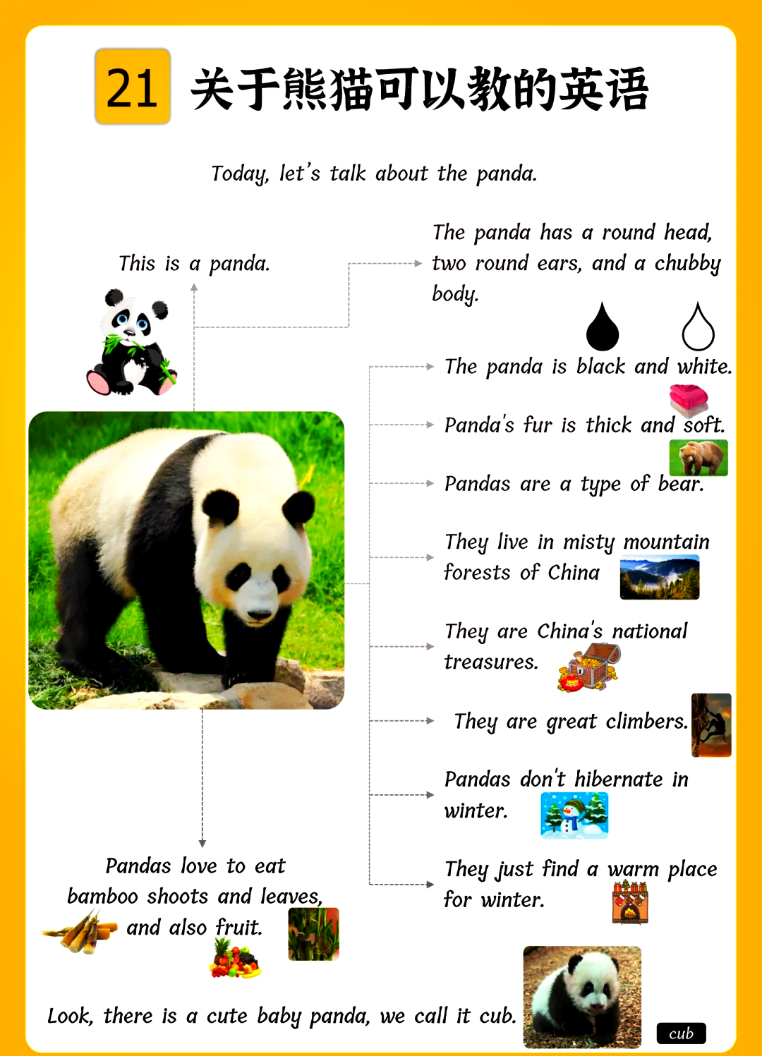 pandas怎么读英语单词
