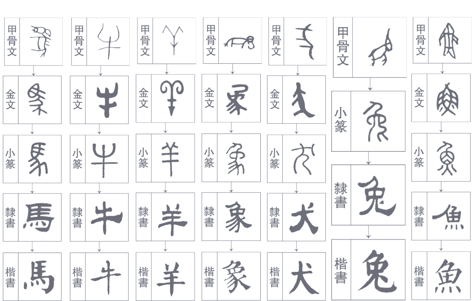 代表动物的字