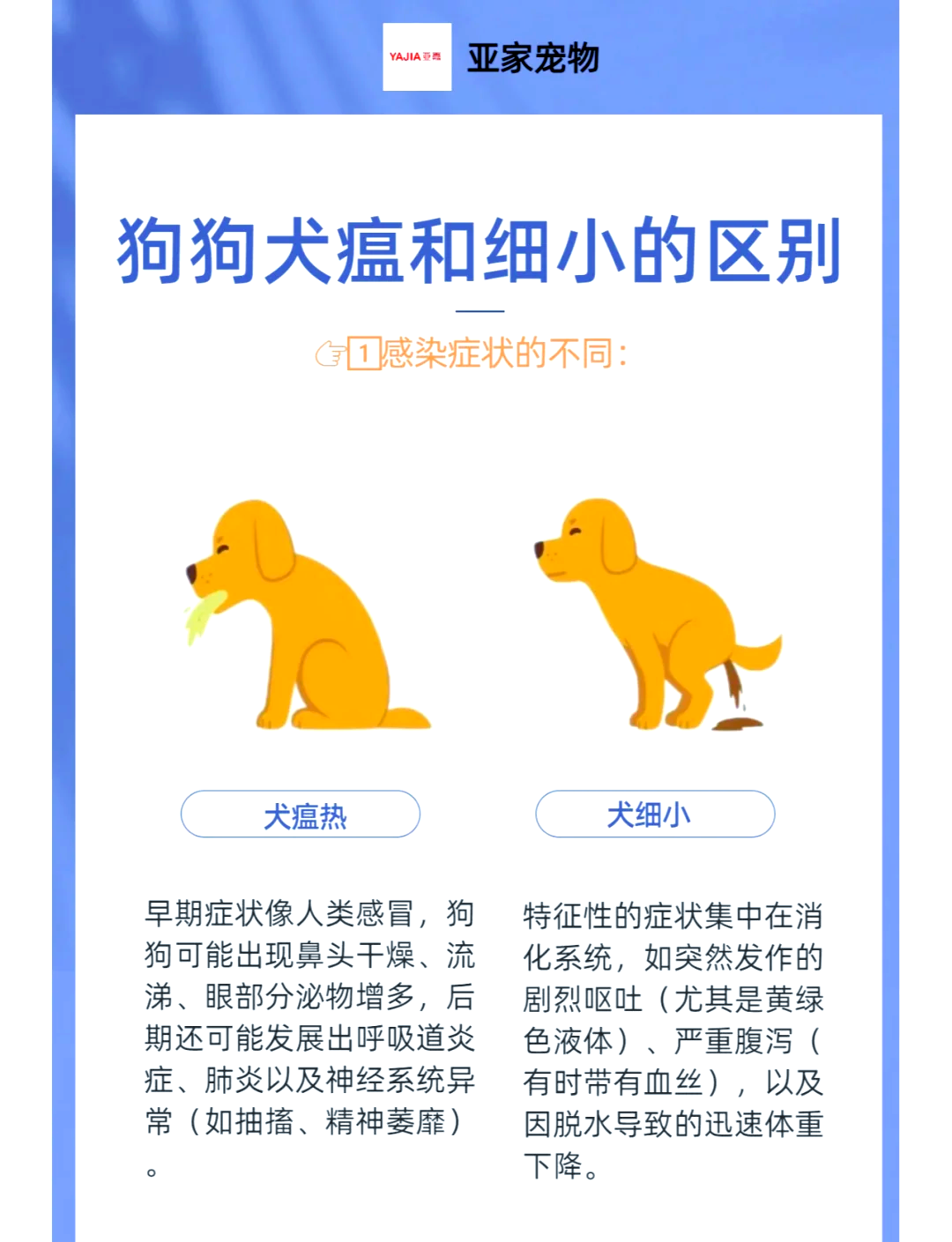 犬瘟细小一般几天爆发