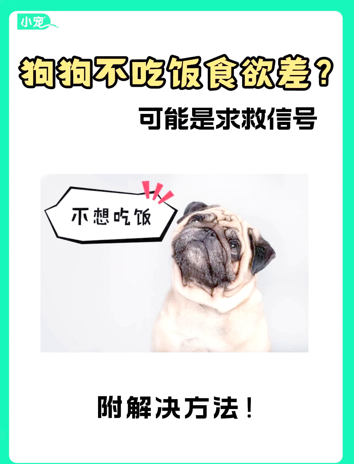 狗为什么不吃狗粮 狗为什么不吃狗粮