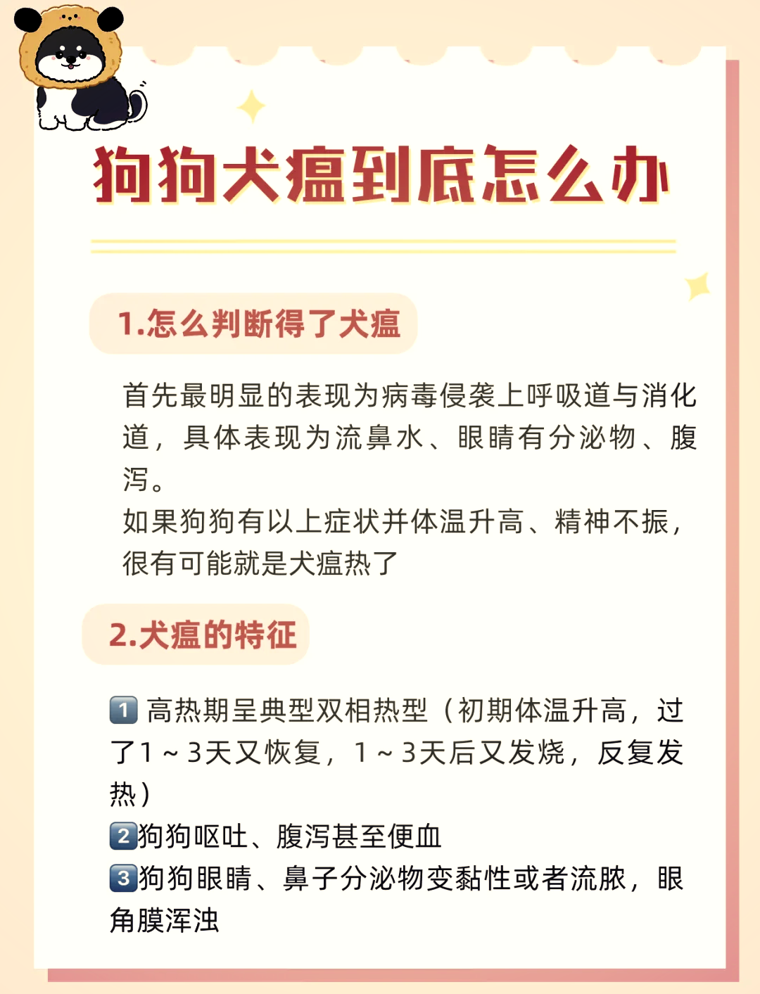 如何判断狗狗得了犬瘟