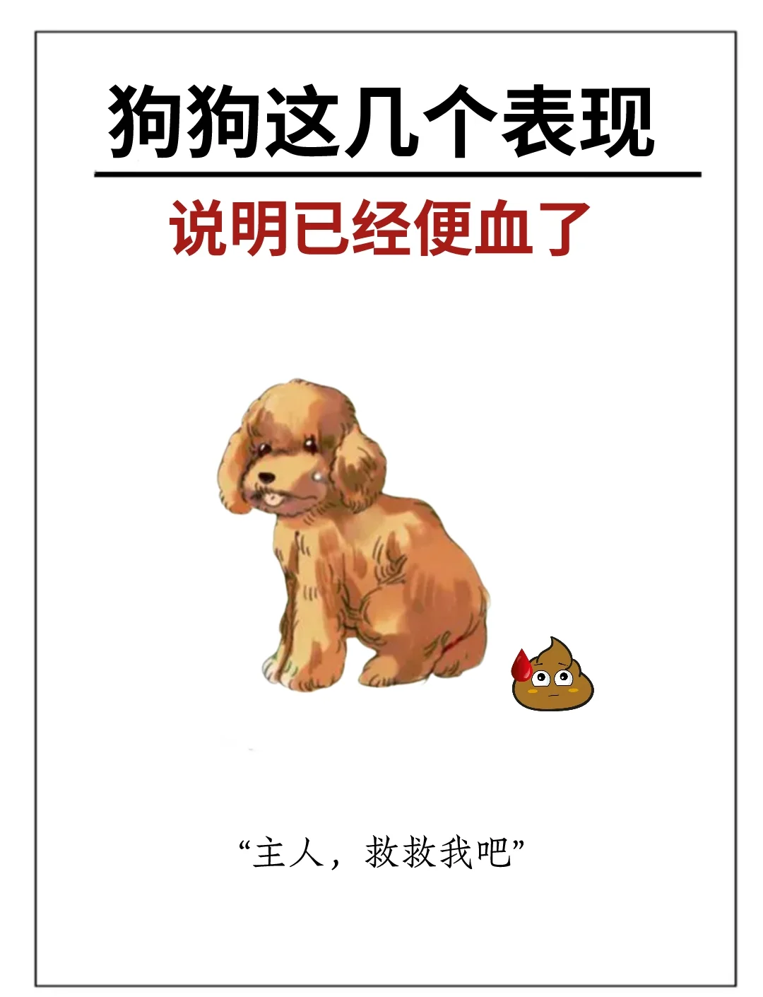 狗狗便血拉稀怎么办