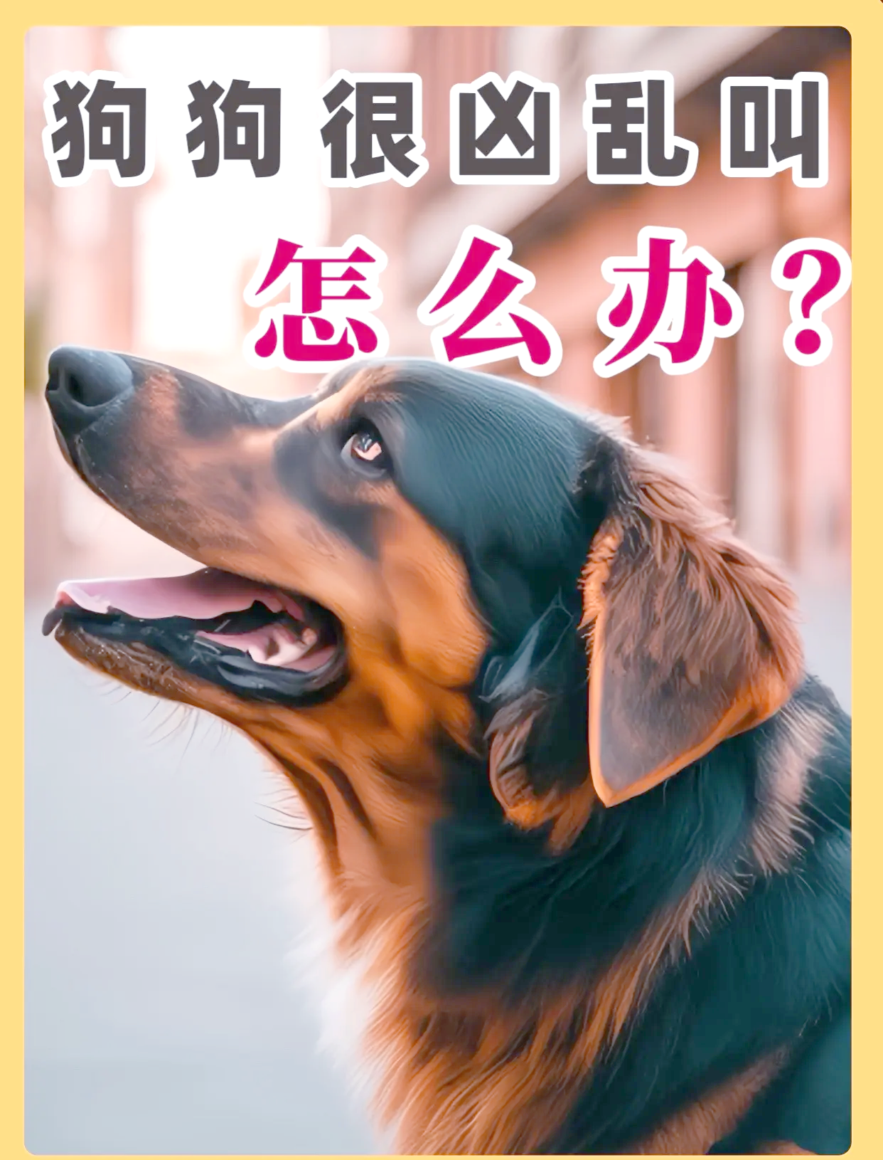 狗为什么突然叫 狗为什么突然叫