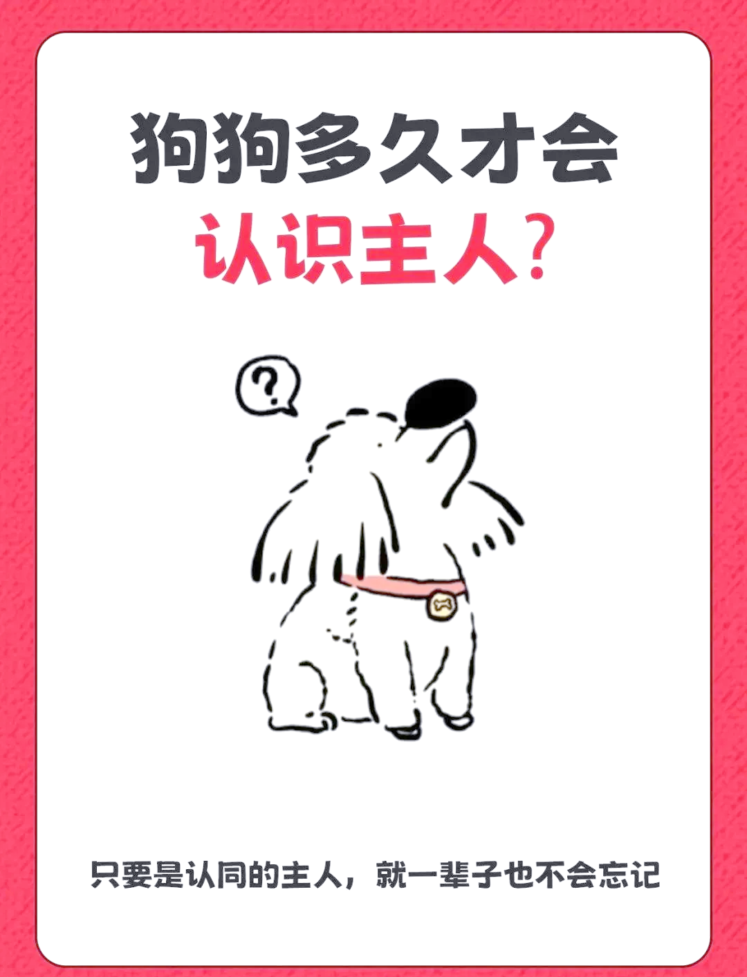 母犬妈妈认主了