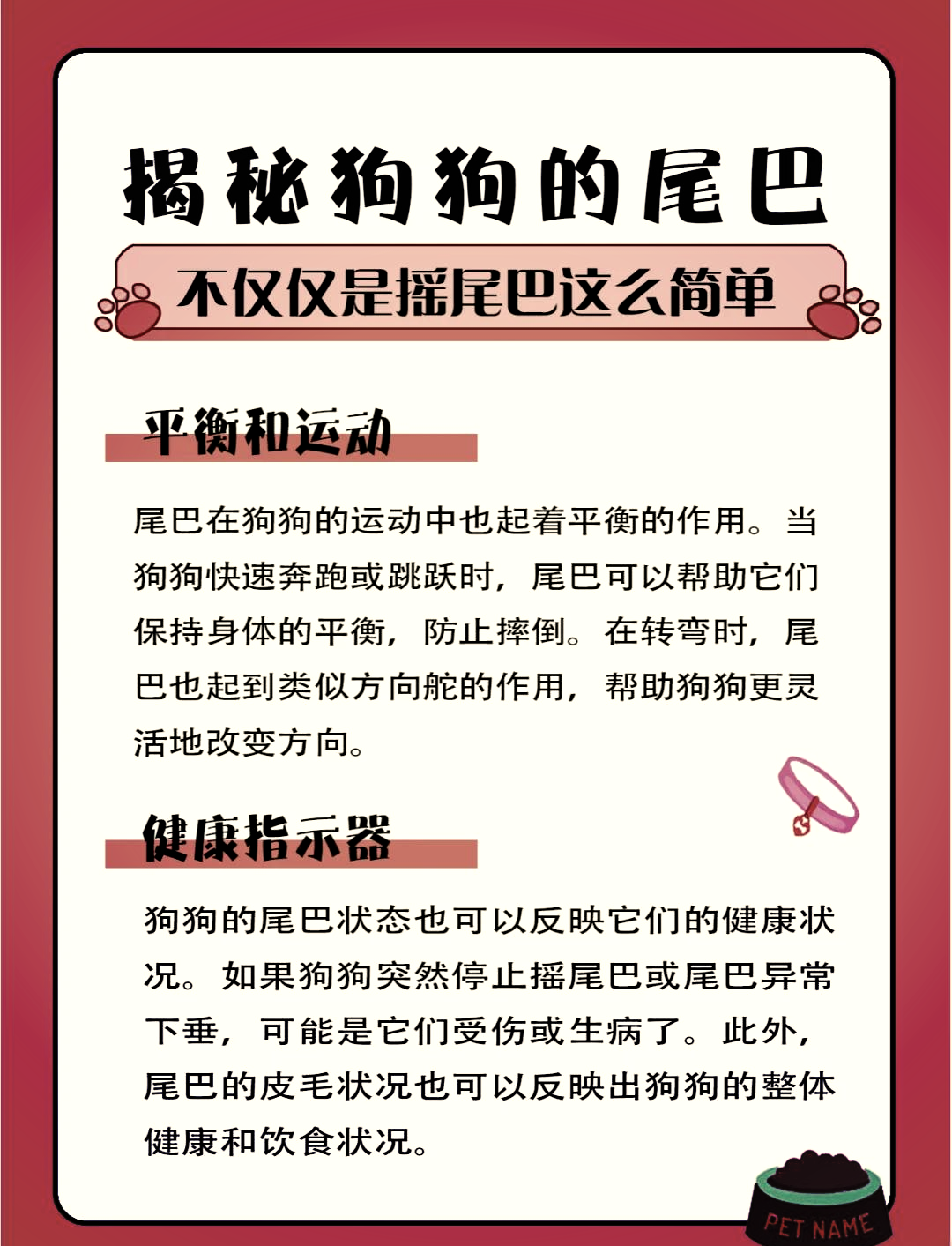 夹尾巴狗为什么不能养的原因为什么在线