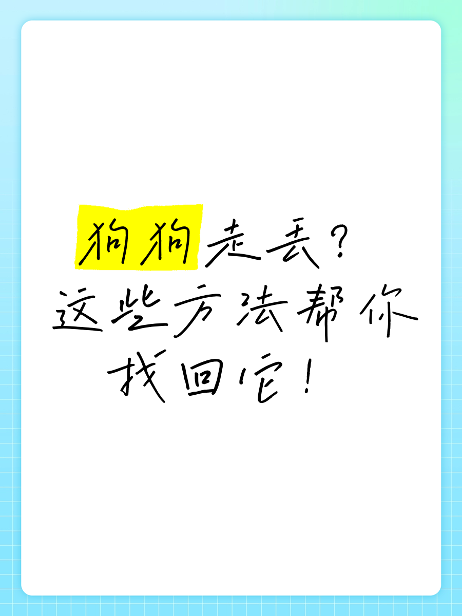 路上捡到狗怎么办法让它走出去
