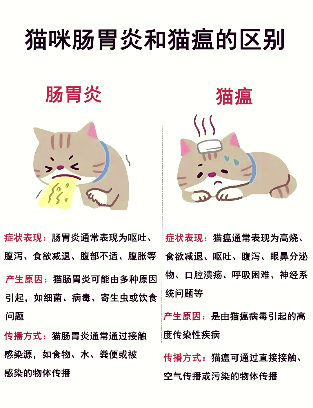 猫为什么会得猫瘟 猫为什么会得猫瘟