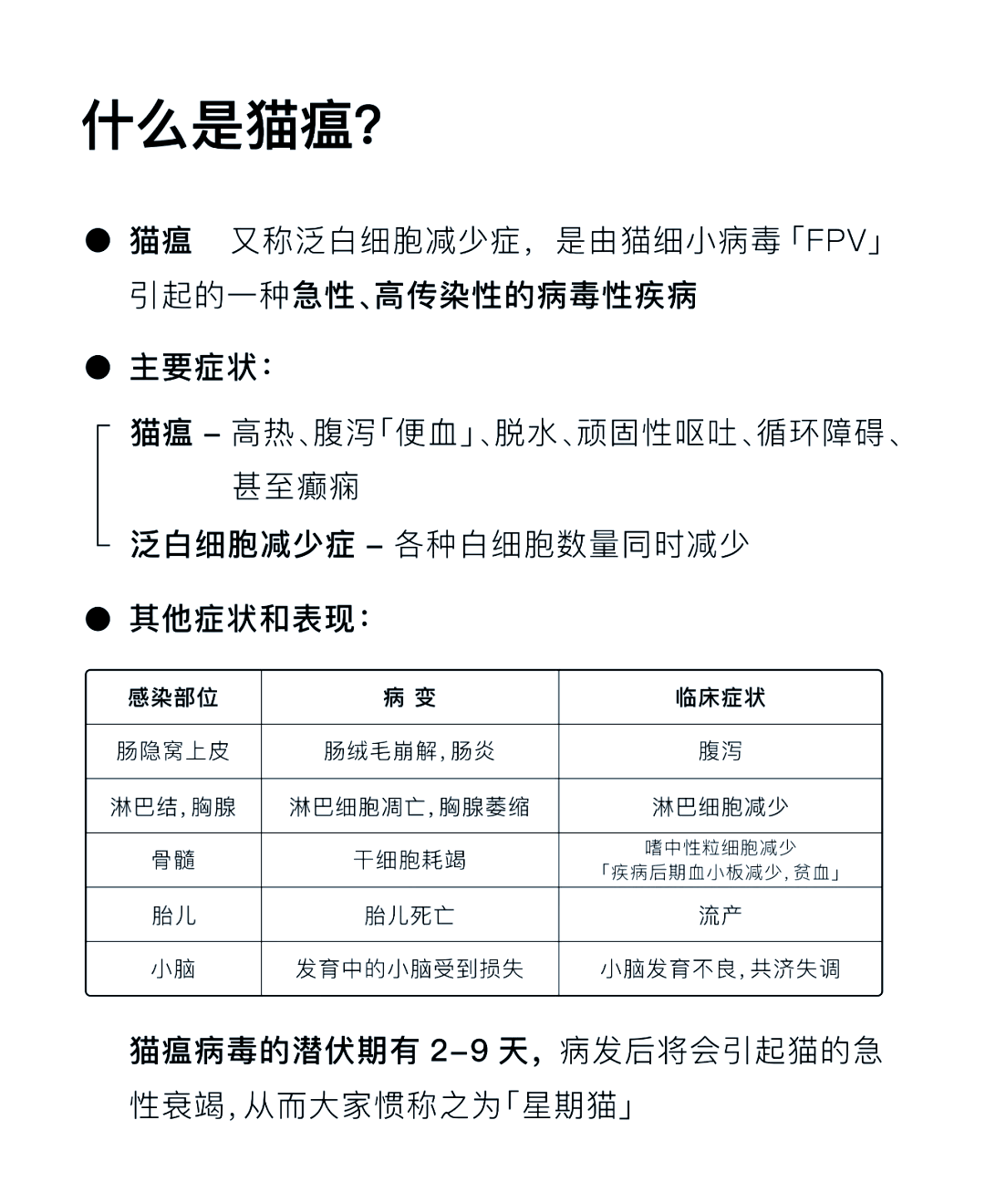猫瘟的死亡率有多可怕