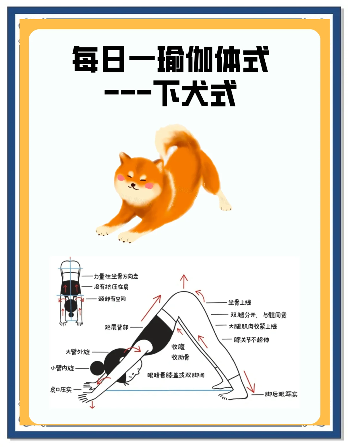 狗可以和人一起做运动吗