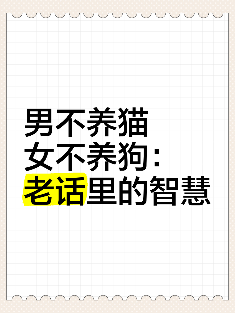 为什么不娶养猫的女人 为什么不娶养猫的女人