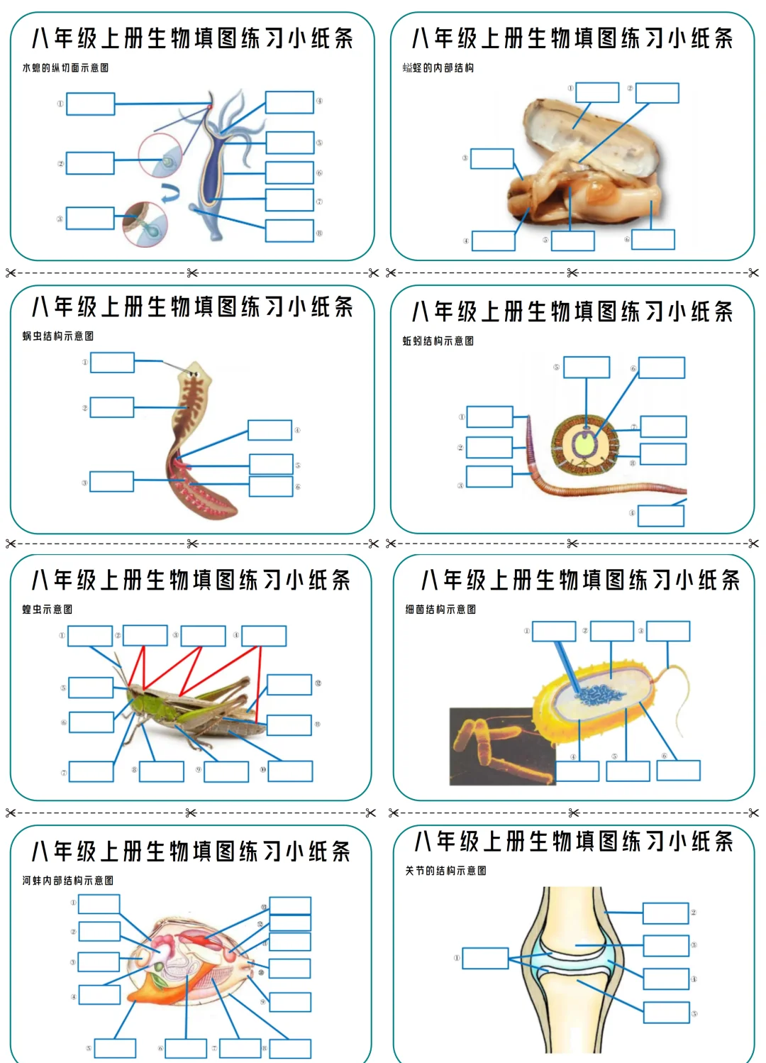 8年级物理每日一练！小纸条，打印即用的简单介绍