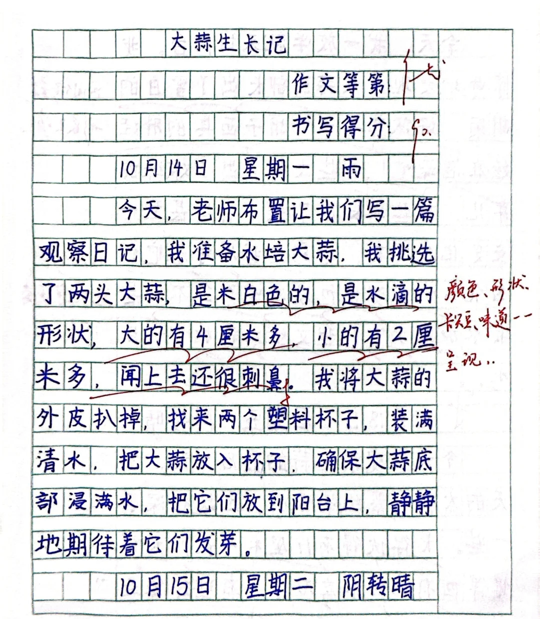 六年级日记写作指导（观察类专项）的简单介绍