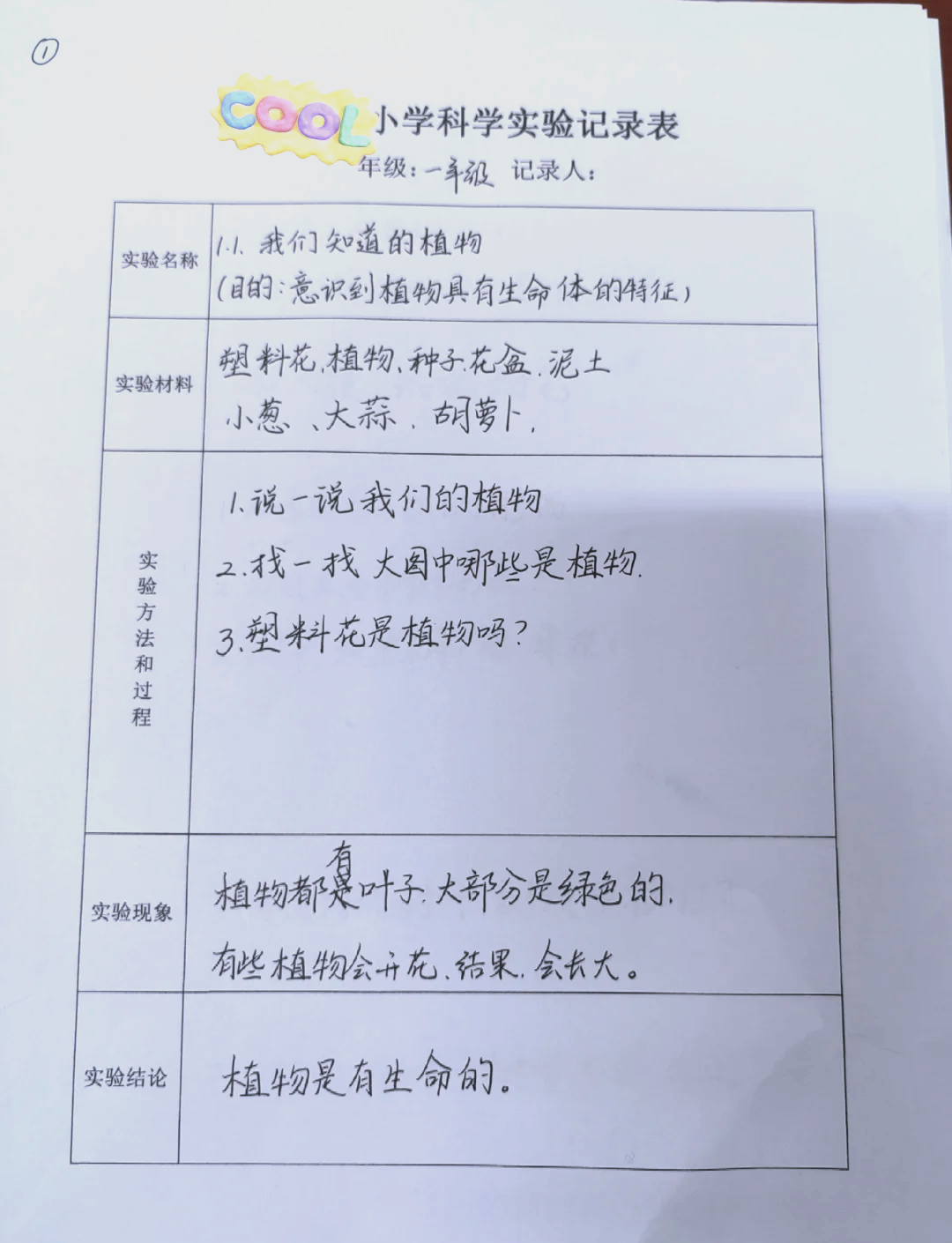 实验记录一般写啥