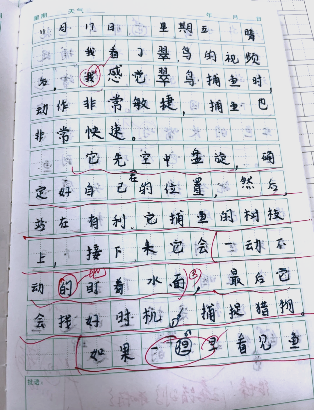 写观察日记四年级作文400字(写观察日记四年级作文400字怎么写)