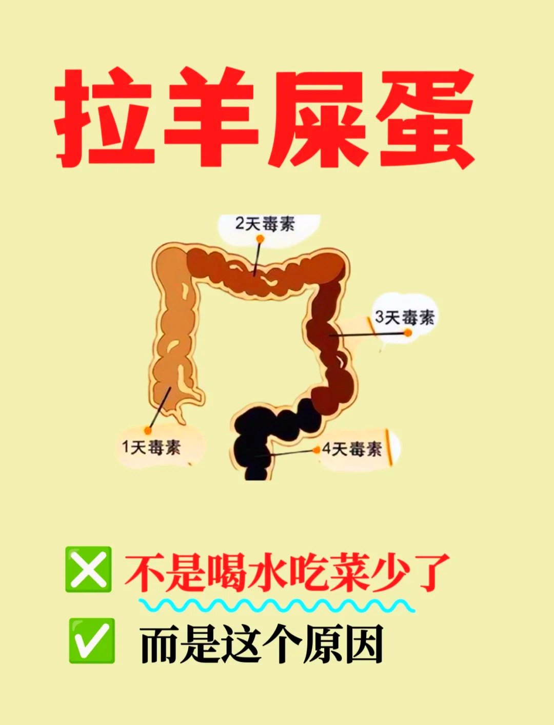 为什么拉屎像羊屎一粒一粒百科在线