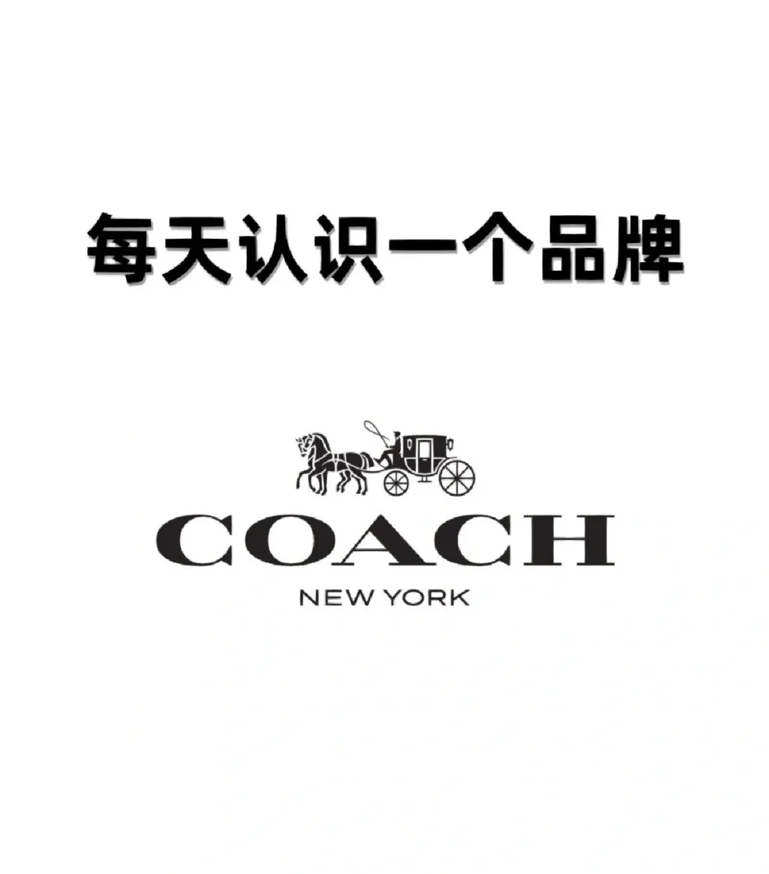 包含www.coach.com的词条