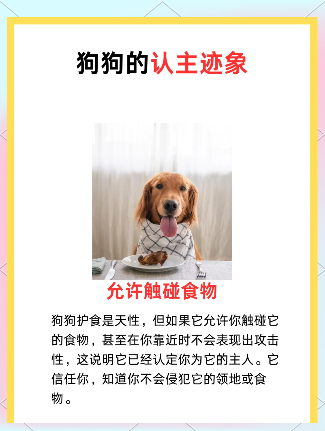 狗狗认定主人的征兆