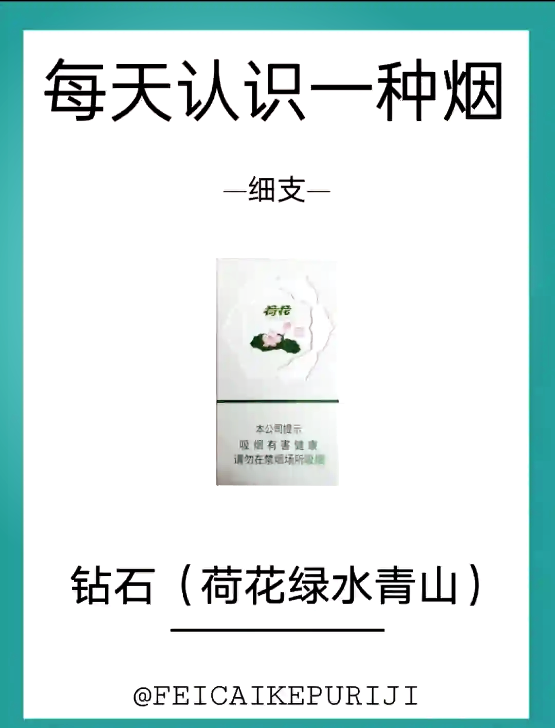 荷花26种价目表图