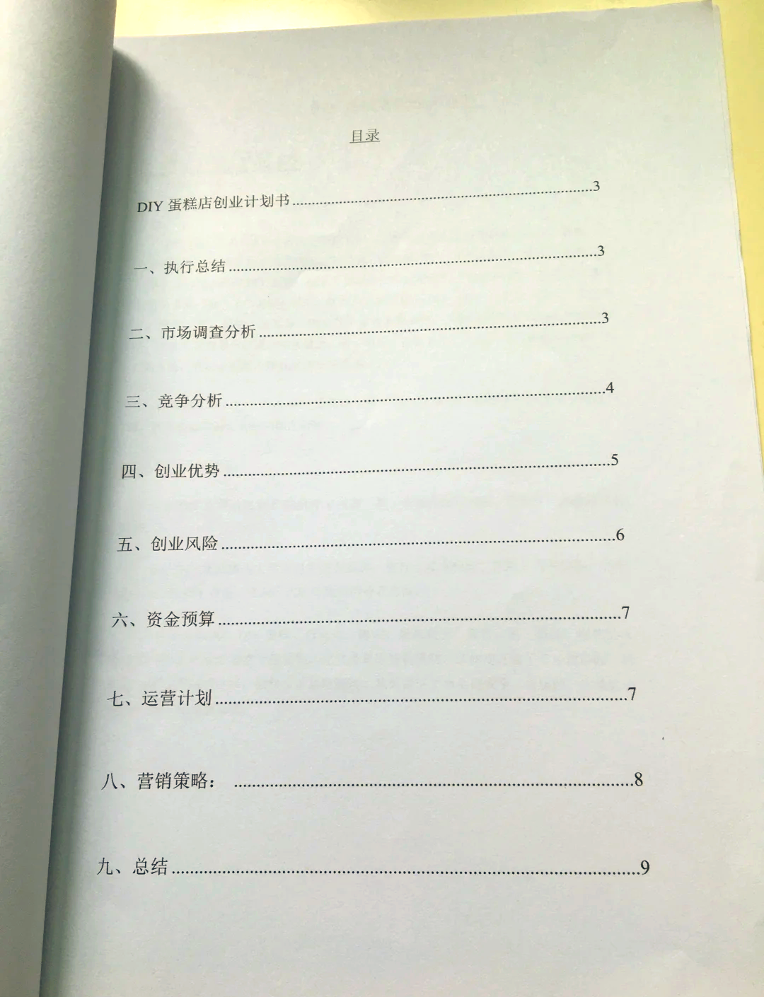 diy蛋糕店创业计划书(大学生版)(20230diy蛋糕店创业计划书doc)