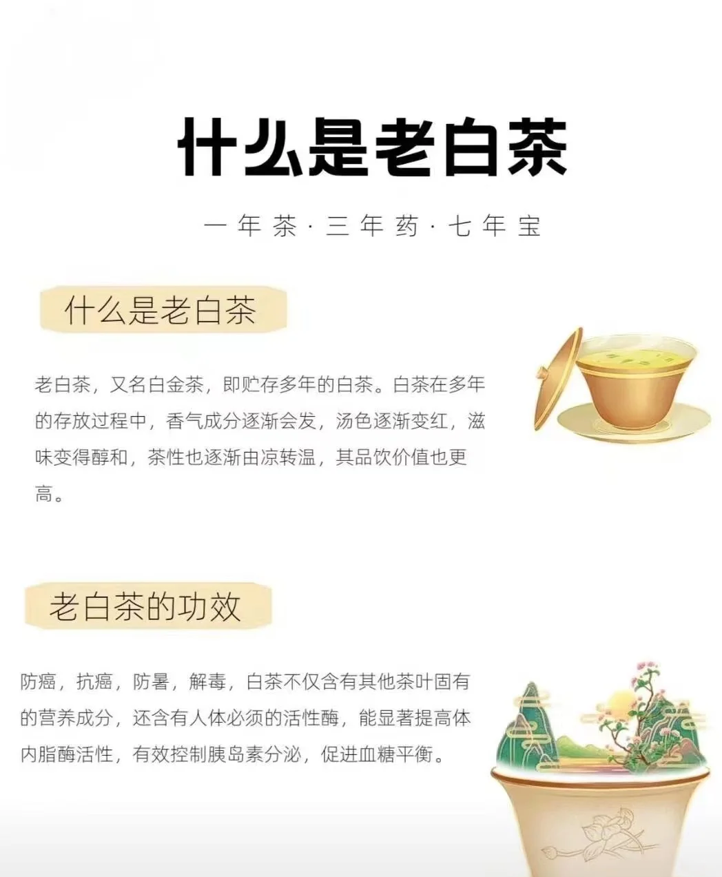 养生茶饮品牌取名大全(养生茶的名字要叫什么好)