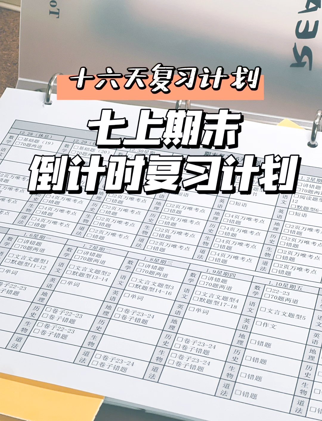 关于中考月度复习计划模板（百日冲刺）的信息