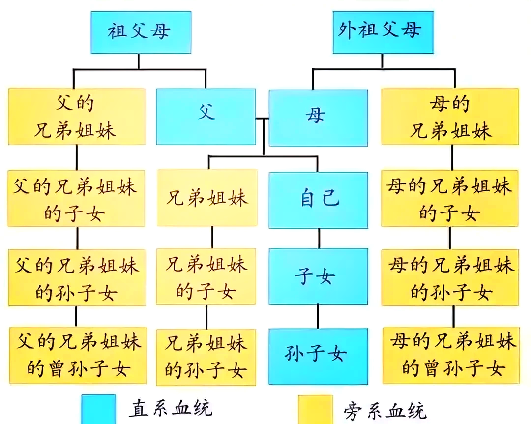 三代宗亲代表什么