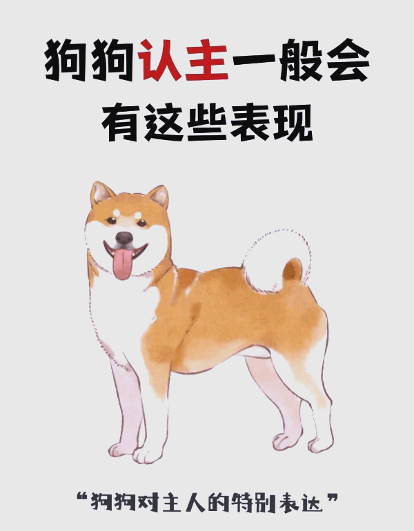 狗狗认主人的瞬间