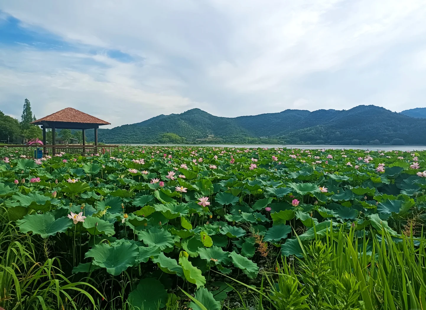 东钱湖有什么景区(东钱湖有什么景区吗)