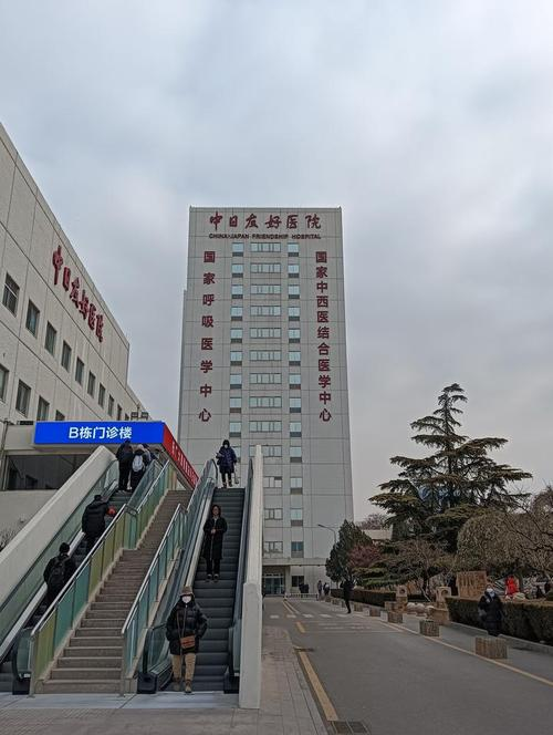 包含中日友好醫(yī)院、北京口腔醫(yī)院、全國(guó)服務(wù)-收費(fèi)透明販子掛號(hào)電話_掛號(hào)無需排隊(duì)，直接找我們的詞條