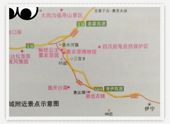 深圳到赛里木湖攻略，旅游帮手