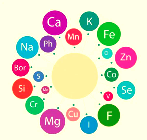 ca是什么元素，ca是什么元素的缩写