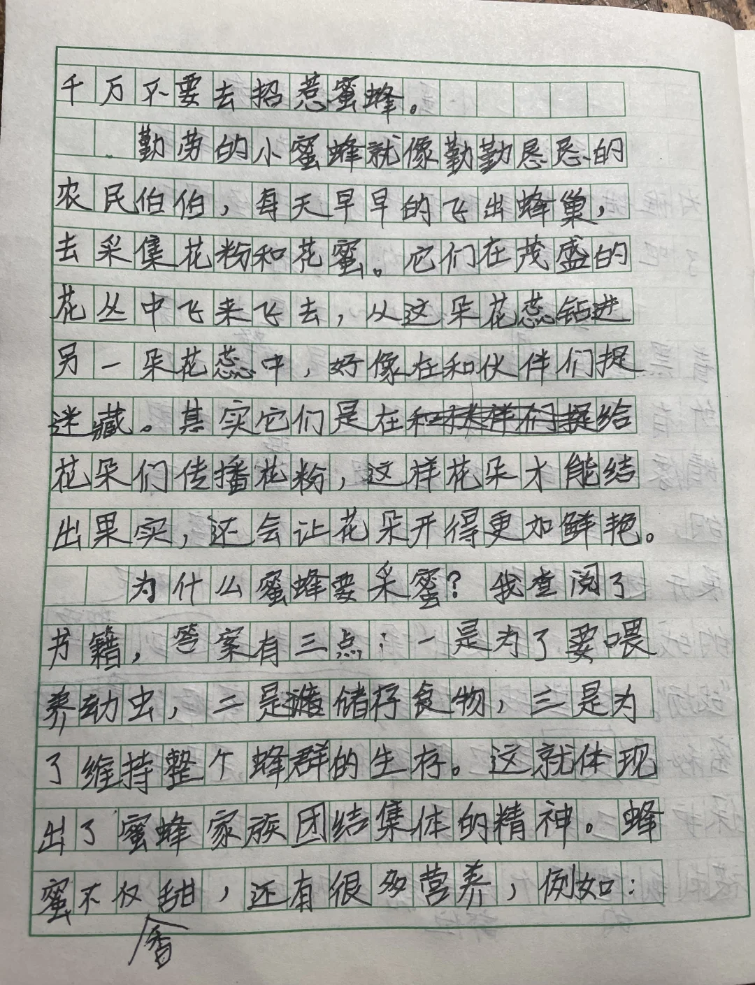 蜜蜂的作文300字（蜜蜂的作文300字借物喻人）《蜜蜂的作文300字以上》
