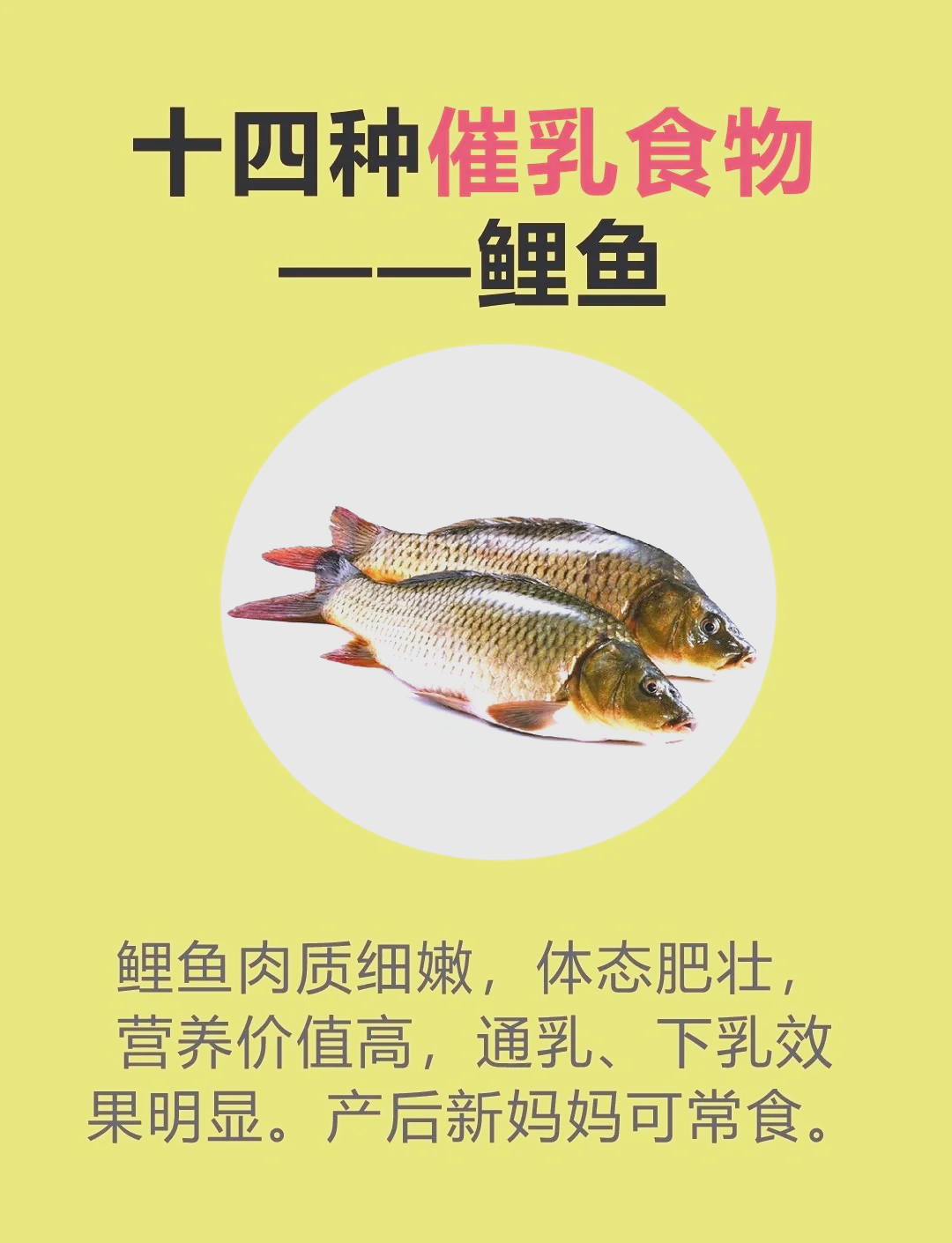 锦鲤为什么不吃食儿?为什么在线 锦鲤为什么不吃食儿?为什么在线