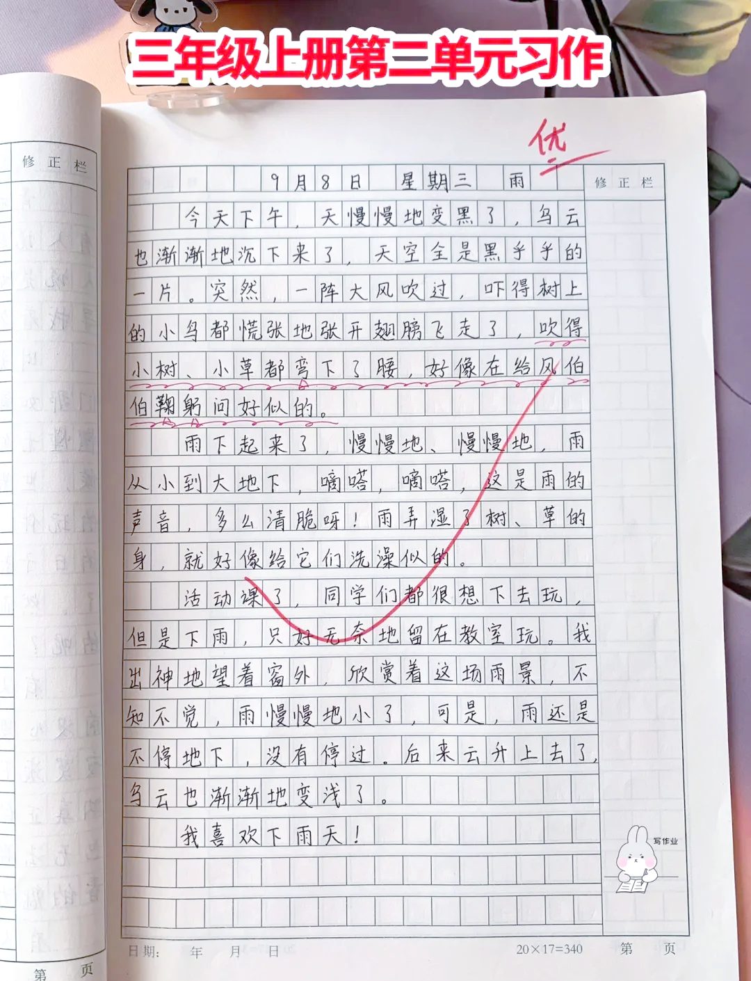 《邢碧旗日记》内容介绍