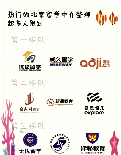 北京留学中介机构十强留学在线