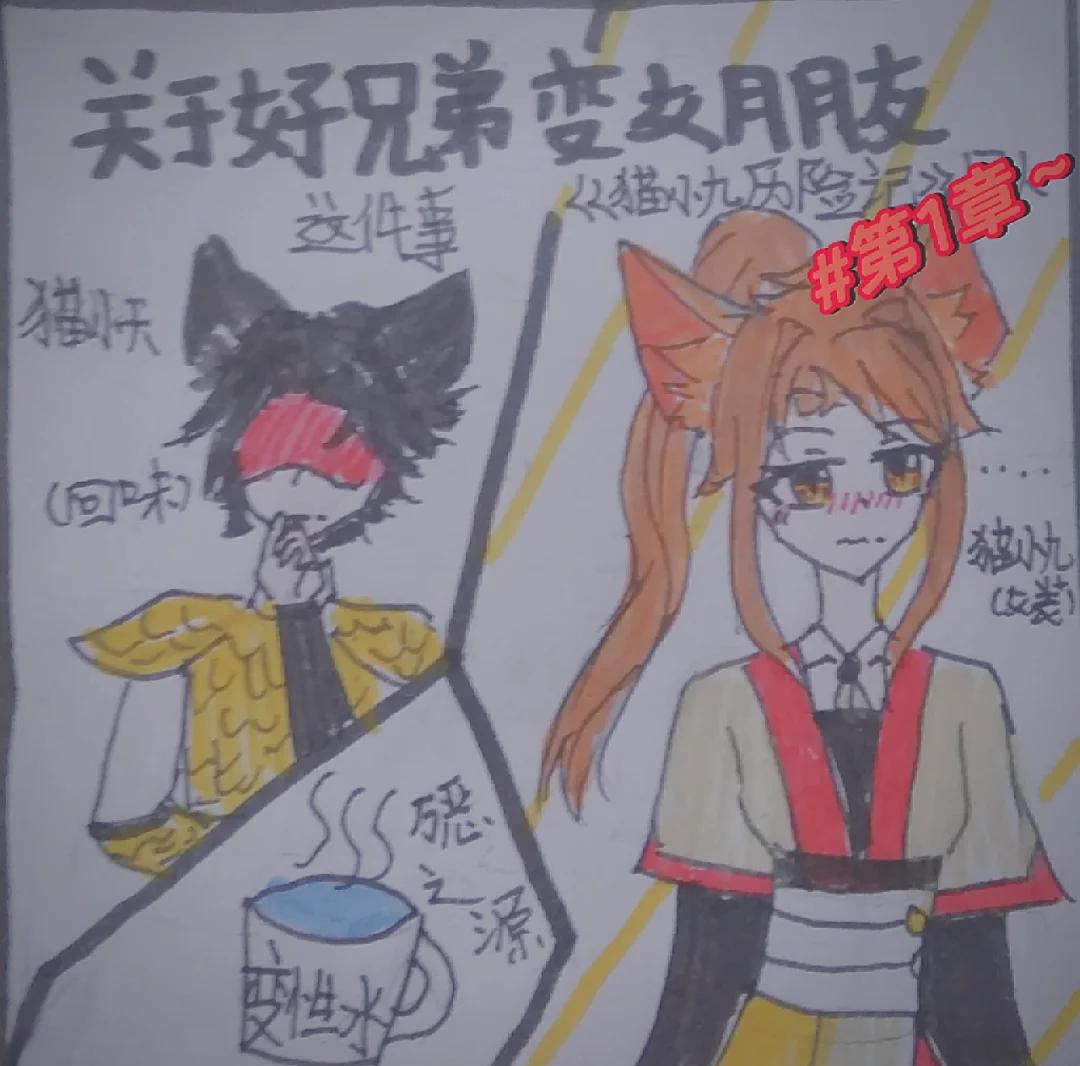 猫小九和猫小天图片