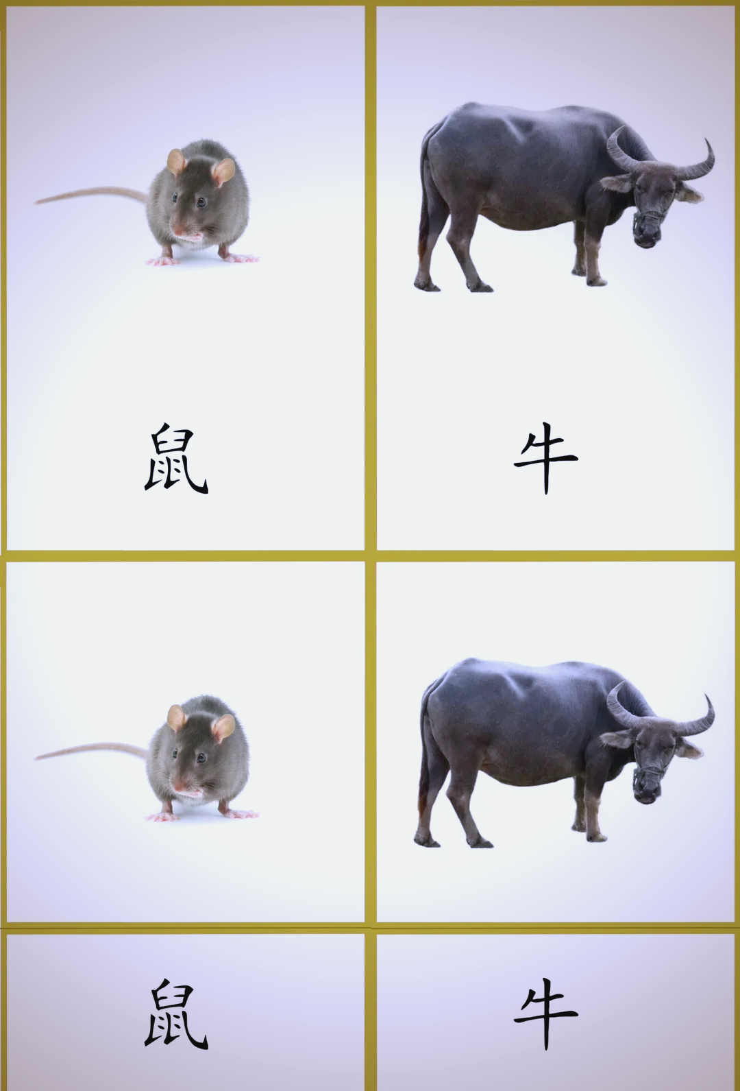 张指什么生肖动物