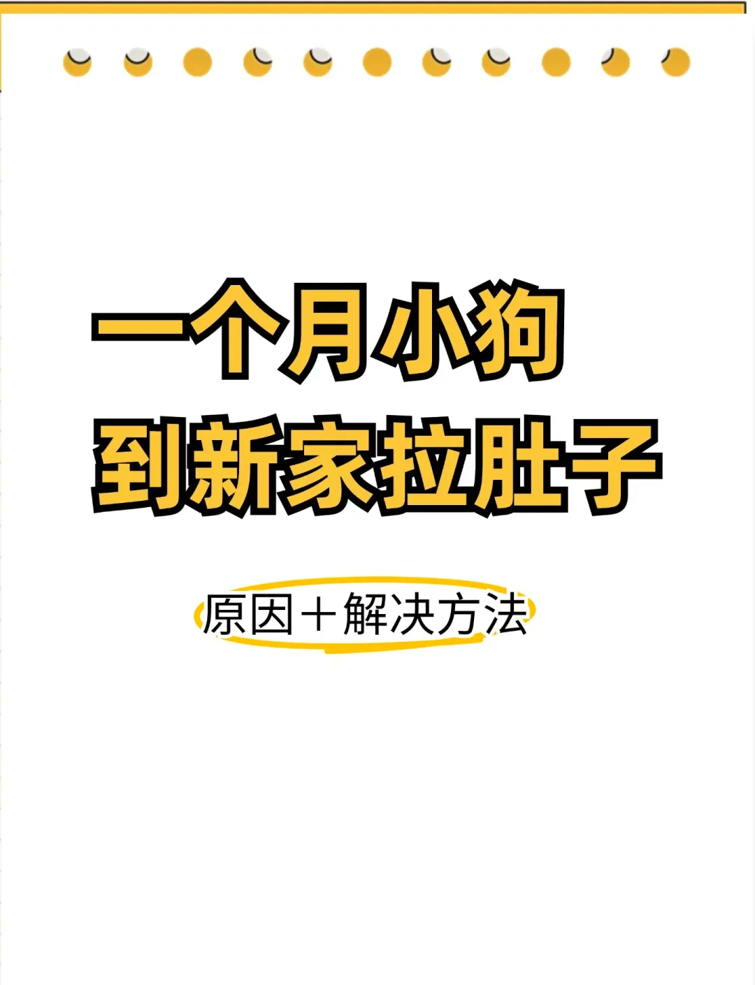 满月狗拉稀不治会自愈吗