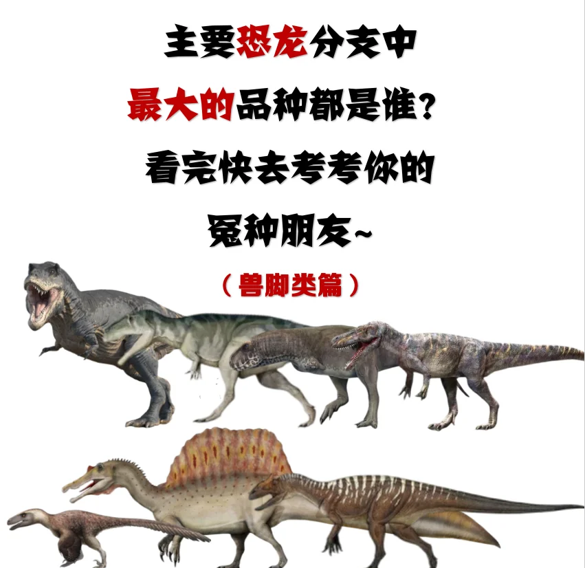 世界上最大的恐龙排名