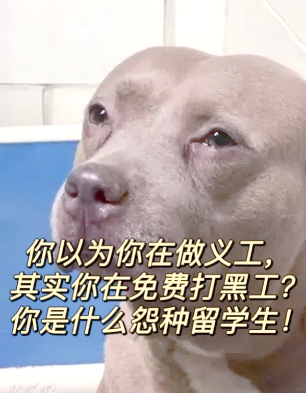 留学假