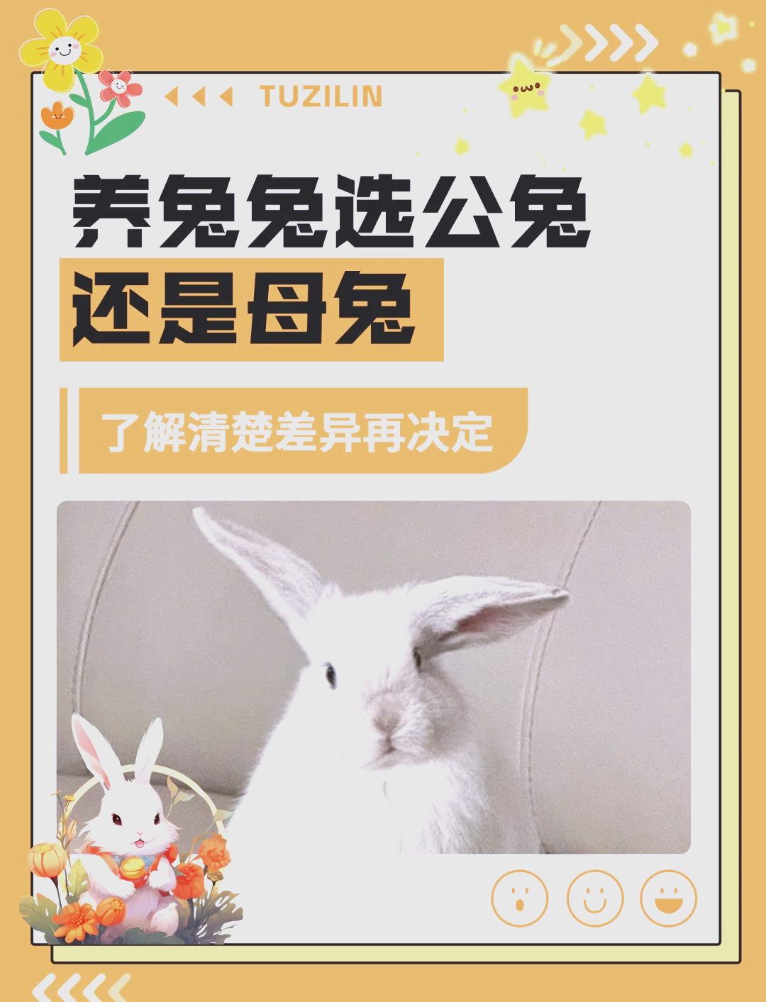 养兔和养鸡哪个风险大(养鸡和养兔哪个成本高风险大)