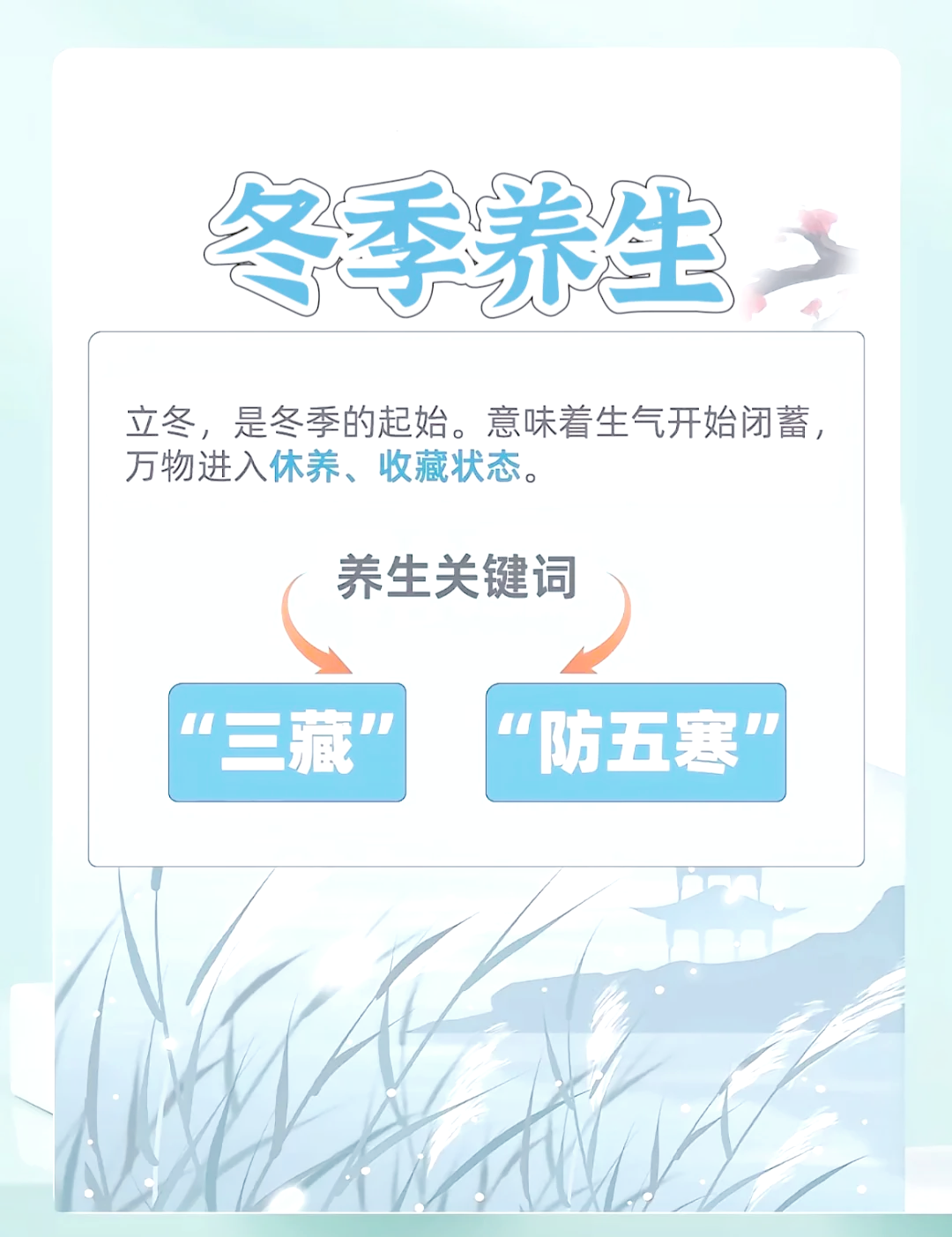 冬季养生知识总结大全视频(冬季养生知识总结大全视频教程)
