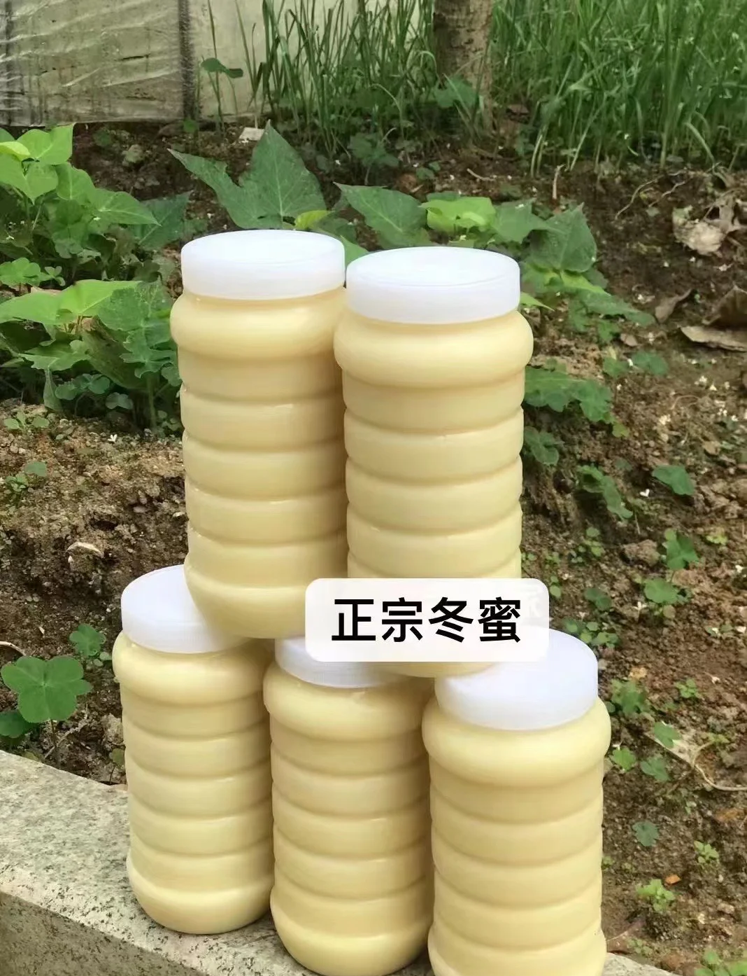 鸭脚木蜂蜜功效与作用及禁忌(鸭脚木蜂蜜功效与作用及禁忌症)