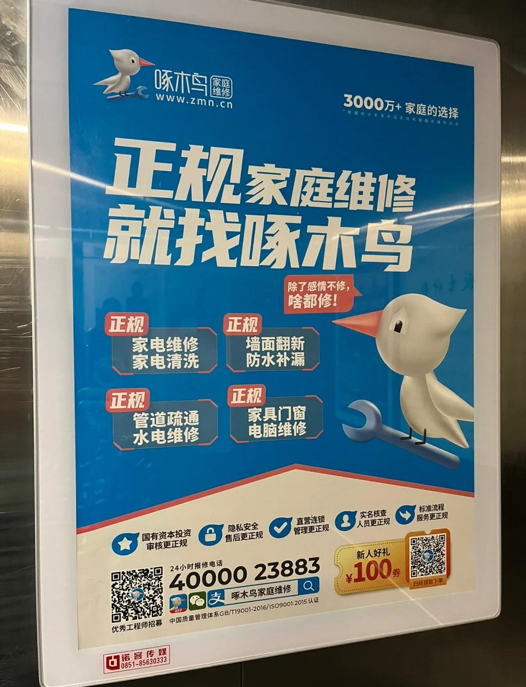 啄木鸟留学中介