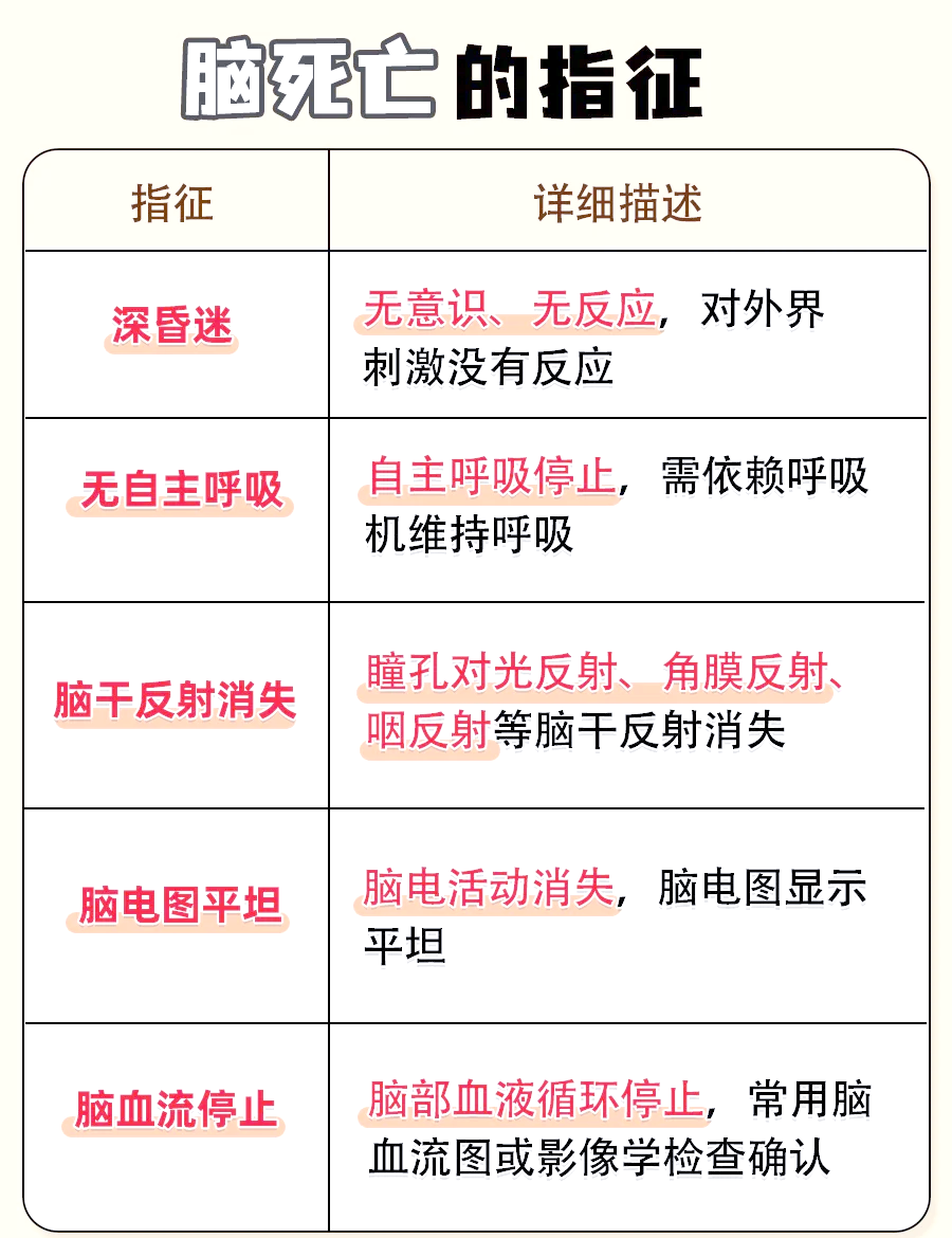 简述脑死亡判断的标准