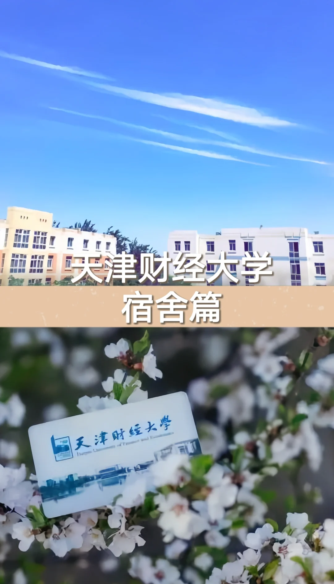 天津财经大学珠江学院宿舍费用(天津财经大学珠江学院宿舍楼名字)