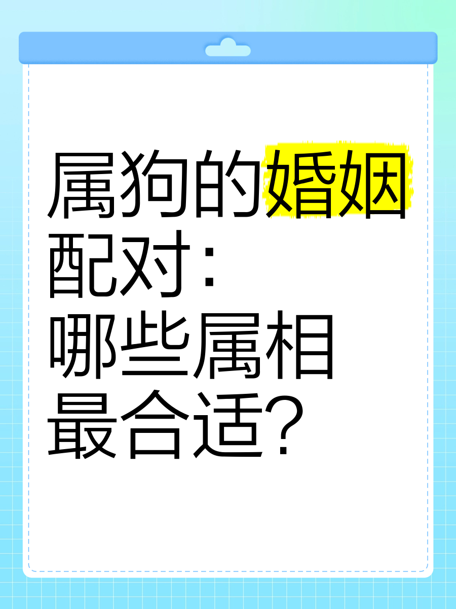 生肖狗的婚姻配对运势男(生肖狗的婚姻配对运势男女)