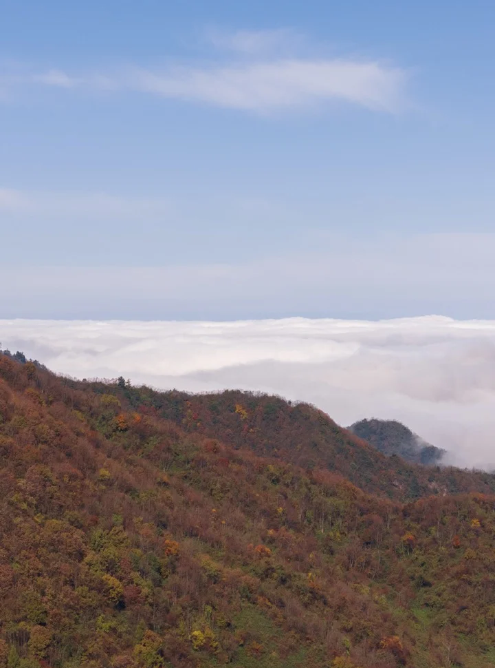 光雾山镇天气