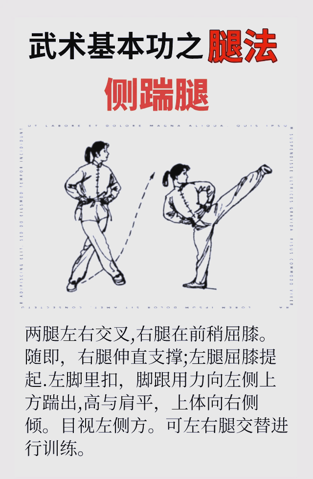 武术的三种拳法和五种腿法